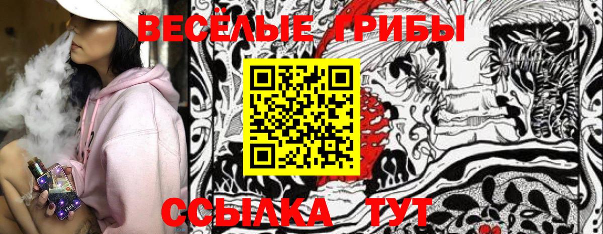 Борисоглебск  Псилоцибиновые грибы Psilocybe  Вход с VPN  Галлюциногенные грибы Psilocybe 